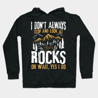 I Don't Always Stop and Look At Rocks Oh Wait, Yes I Do Hoodie